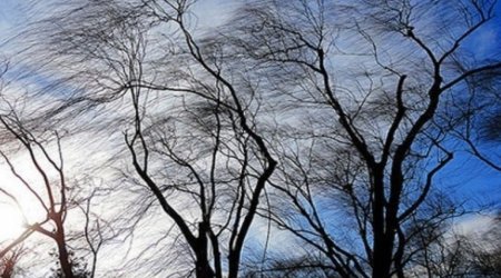 Azərbaycanda küləkli hava ilə bağlı SARI XƏBƏRDARLIQ