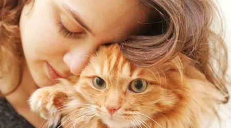 Tək cızıq kifayətdir: Pişiklərdən insanlara keçən göbələk növü aşkar edildi