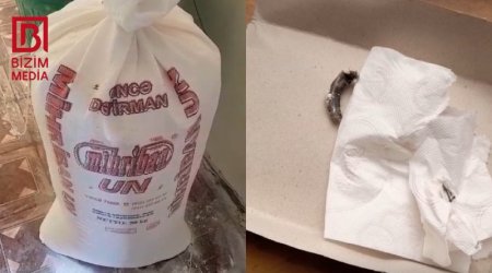 Qaxda İYRƏNC MƏNZƏRƏ &ndash; Un kisəsindən görün nə ÇIXDI &ndash; ÖZƏL/VİDEO