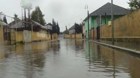 Yağışa görə sığortalı əmlaklara dəyən ziyanın MƏBLƏĞİ açıqlandı