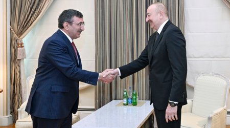İlham Əliyev Türkiyənin Vitse-prezidenti ilə GÖRÜŞDÜ - FOTO