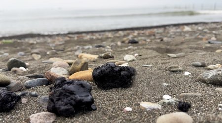 Xəzərin Lənkəran sahillərində neft qalıqlarının yayılması ilə bağlı AÇIQLAMA - FOTO