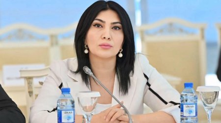 &ldquo;Bu, sadəcə divara rəsm çəkmək deyil, vandalizm aktıdır&rdquo;