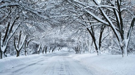 Dağlıq ərazilərdə qar yağır - FAKTİKİ HAVA