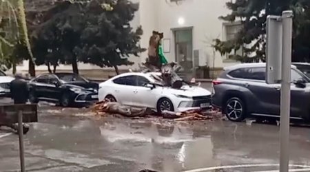 Nəhəng ağac &ldquo;BYD&rdquo;nin üstünə aşdı &ndash; VİDEO