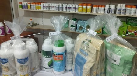 43 müəssisədə yoxlamalar: Tonlarla zəhərli maddə aşkarlandı - FOTO