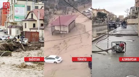 Oxşar situasiya, fərqli reaksiya &ndash; Araşdırmaq yerinə günahlandırmağı seçmək YANLIŞI