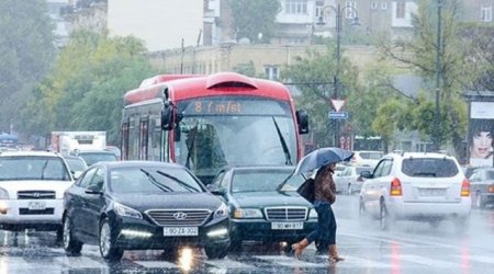 ADSEA sədri: 7 aya yağan yağış iki gündə yağdı - VİDEO