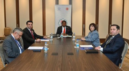 Sahibə Qafarova ilə Alen Simonyan arasında görüş &ndash; VİDEO