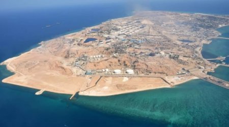 Tramp Xark adasının ələ keçirilməsi planından niyə imtina edib?