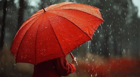 Bu ərazilərə sulu qar yağıb - FAKTİKİ HAVA