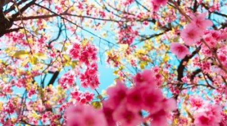 Sabah hava necə olacaq? &ndash; PROQNOZ