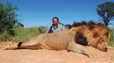 Amerikalı milyoneri Afrikada fillər tapdalayıb öldürdü - FOTO