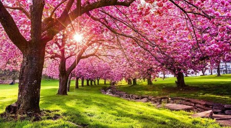 GÜNÜN HAVASI: 24 dərəcə isti olacaq