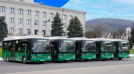 Xankəndi 30 illik işğaldan sonra tədricən canlanır: 3 avtobus marşrutu fəaliyyətə başladı - VİDEO