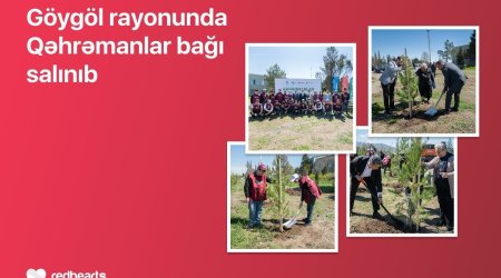 Göygöldə &ldquo;Qəhrəmanlar bağı&rdquo; aksiyası həyata keçirilib