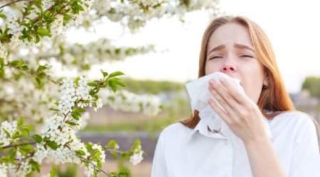 Allergiyanın gücləndiyi aylar &ndash; Bu ağaclar və otlar həyatınızı kabusa çevirə bilər