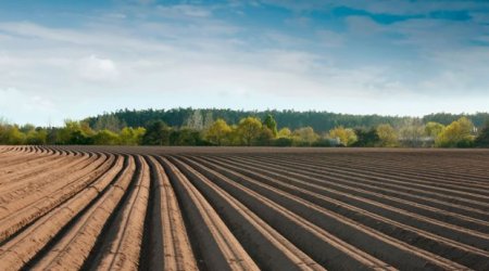 Suqovuşanda əkin üçün torpağa sahiblənmək istəyənlərə MÜJDƏ