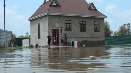 Kürdəmirdə Kürün səviyyəsi qalxdı - ev və əkin sahələri su altında qaldı - FOTOLAR