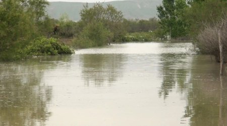 Kür daşdı: Sabirabadda geniş ərazilər su altında qaldı - FOTO