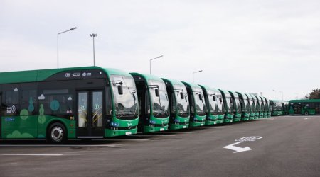 WUF13: Qonaqlar 24 saat ərzində avtobuslarla məkanlara daşınacaq