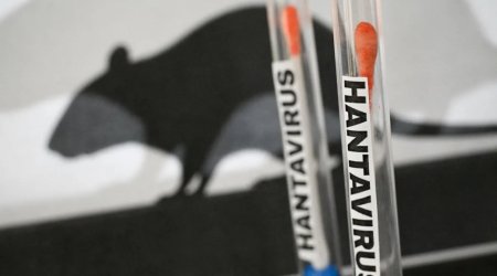ÜST-dən hantavirus AÇIQLAMASI: Pandemiya geri qayıdır?