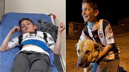 &ldquo;&ldquo;Kral&rdquo; olmasaydı, ayılar məni yeyəcəkdi&rdquo; &ndash; FOTO