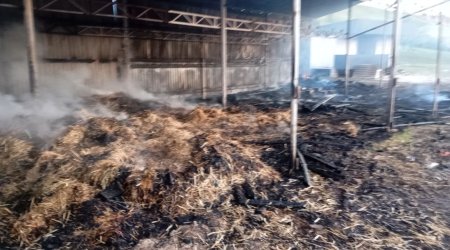 Fermerin 20 ton ot pressi yandı - FOTO/VİDEO