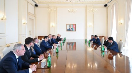Prezident Rixard Raşinin başçılıq etdiyi nümayəndə heyətini qəbul etdi &ndash; FOTO/VİDEO