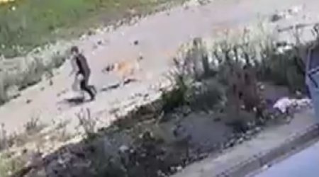 Azyaşlı sahibsiz itlərin hücumundan son anda xilas oldu &ndash; ANBAAN VİDEO