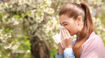 Yay allergiyasından qorunmaq üçün 8 QIZIL MƏSLƏHƏT