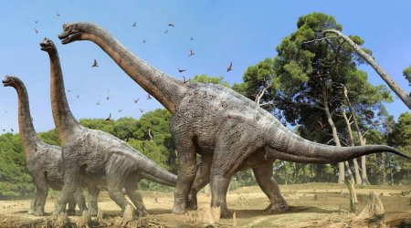 Dinozavrlarla bağlı İNQİLABİ TAPINTI &ndash; Fildən 9 dəfə böyük olub... &ndash; FOTO