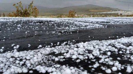 Ordubad və Şahbuz rayonlarına dolu düşdü