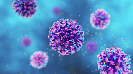 4 il əvvəl "hantavirus"la bağlı edilən paylaşım viral oldu - FOTO