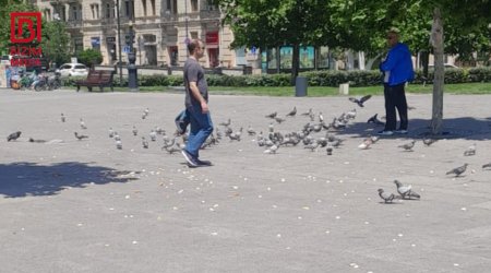 Göyərçinlərə qayğı, yoxsa çörəyə hörmətsizlik? &ndash; FOTOFAKT