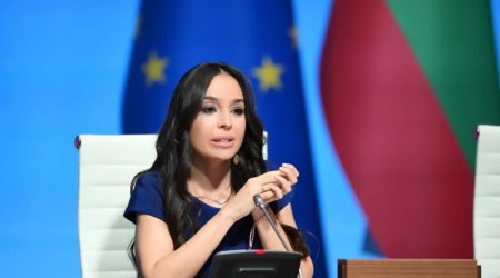 Leyla Əliyeva: Təmiz hava olmadan sağlam şəhər mümkün deyil