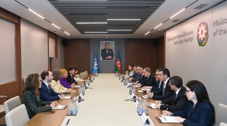 Nazir Əminə Məhəmmədlə Qarabağın bərpasını müzakirə etdi - FOTO