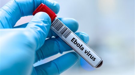 Ölümcül virus üç ölkəyə YAYILDI &ndash; Giriş MƏHDUDLAŞDIRILIR