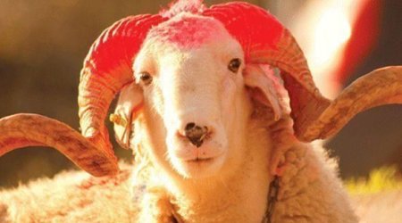Qurban bayramı ilə bağlı vətəndaşlara ÇAĞIRIŞ