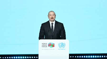 Prezident:"WUF13 60 min iştirakçı ilə tarixə düşdü"