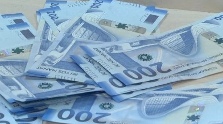 Problemli kreditlərin həcmi artıb - VİDEO
