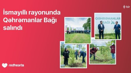 İsmayıllıda 189 şəhidin xatirəsinə &ldquo;Qəhrəmanlar Bağı&rdquo; salındı