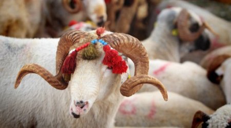 Azərbaycanda Qurban bayramı qeyd edilir