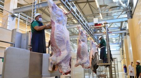 Qurban bayramı günlərində 134 ünvanda satış və kəsim xidmətləri göstərilir -AQTA