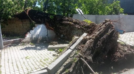 İsmayıllıda güclü külək ciddi fəsadlar YARATDI - FOTO