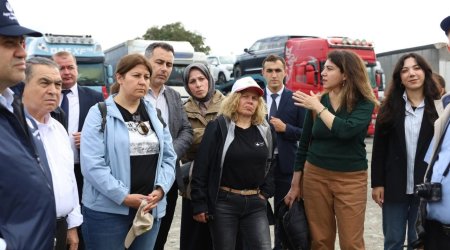 Qəhvəyi mərmər bağalığı yenidən aktivləşib - FOTO