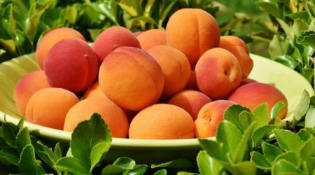 Hər gün ƏRİK yesəniz, orqanizminizdə bunlar olacaq