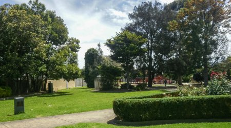 Gənc oğlan parkda dostunu bıçaqladı