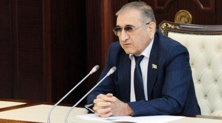 Komitə sədri: &ldquo;Cərimə olmasa, insanlar bütün yaşıllıqları məhv edərlər&rdquo;