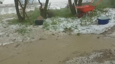 Qubanın dağlıq kəndlərinə dolu düşdü: Təsərrüfatlara ziyan dəydi - FOTO-VİDEO